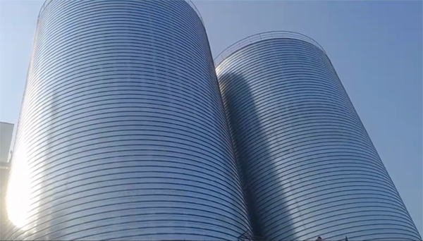 行唐2座混凝土高架卷板仓